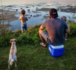 Coleman 16QT Performance Tricolor Koelbox - 15L - Blauw/Grijs -Buitenkampeer Winkel 1200x1094 8