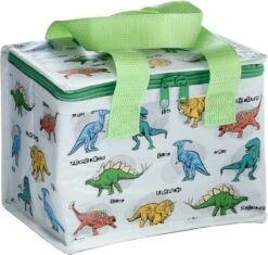 Kleine Lunch/sixpack Koeltas - Dinosaurus Print - 21 X 16 Cm - 4,7 L -Buitenkampeer Winkel 1200x1140 5