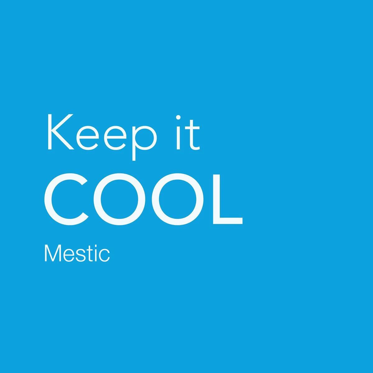 Mestic MTEC-28 Koelbox Thermo-elektrisch - AC/DC - 26L 15 Mestic MTEC-28 Koelbox Thermo-elektrisch - AC/DC - 26L - Afbeelding 15