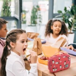 Brisby 4 Laags Geïsoleerde Koeltas - Lunchtas 1.5 Liter - Roze Pinguïn 10 Brisby 4 Laags Geïsoleerde Koeltas - Lunchtas 1.5 Liter - Roze Pinguïn -Buitenkampeer Winkel 1200x1200 1528